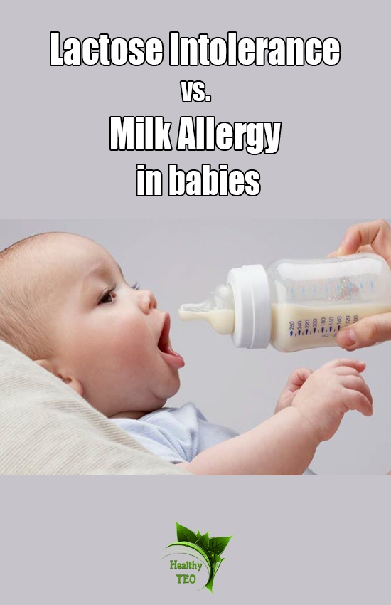 lactose, milk, allergy