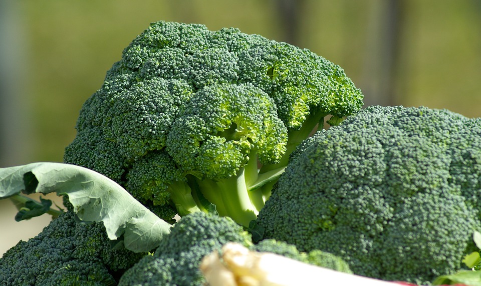 Cruciferous vegetable