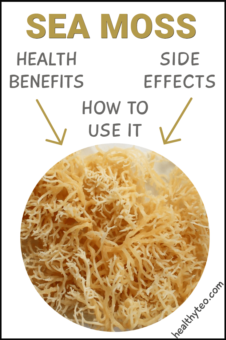 Sea moss, benefits, uses, and side effects