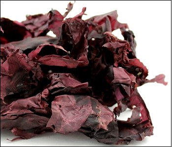 Dulse