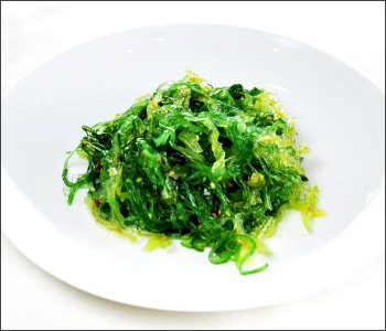 Wakame edible seaweed