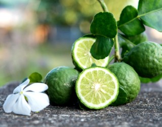 Bergamot orange for Earl Grey tea