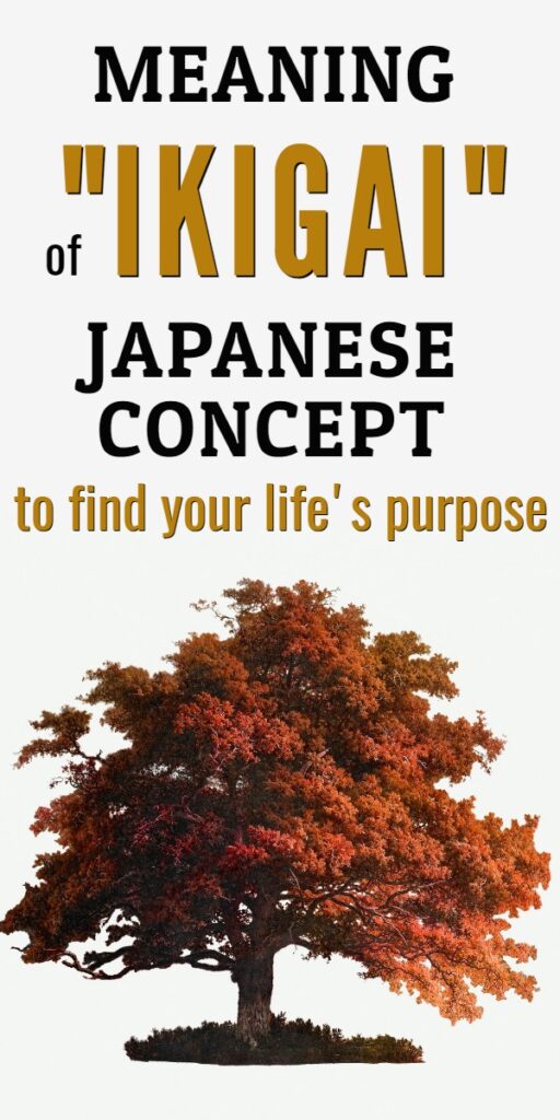 Japanese secret of long life: ikigai