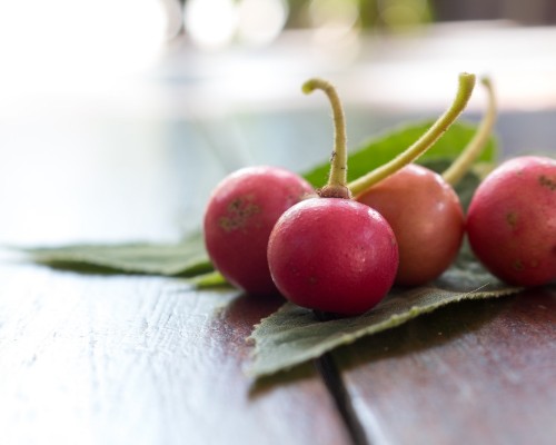 Aratilis fruit