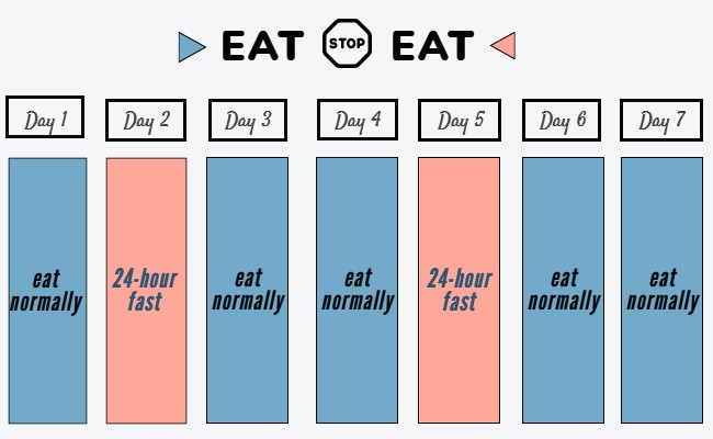 Fasting days on eat stop eat diet