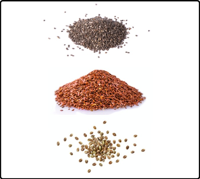 Which seed is right for you: chia, flax or hemp