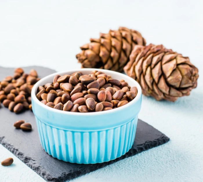 Pine nuts benefits, side effects, how to use for cooking