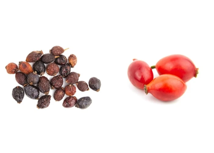 Fresh and dried rose hips for tea