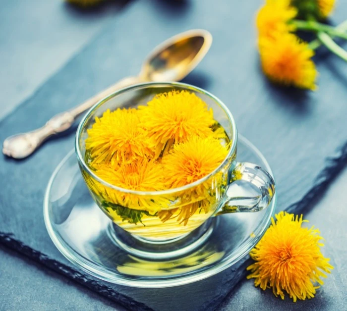 Tea from dandelion benefits and side effects