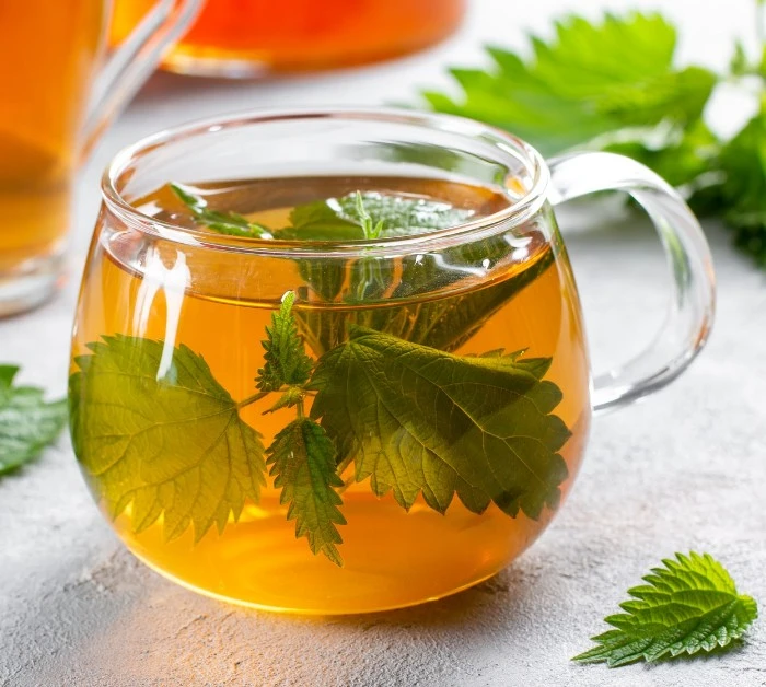 Nettle tea benefits and side effects