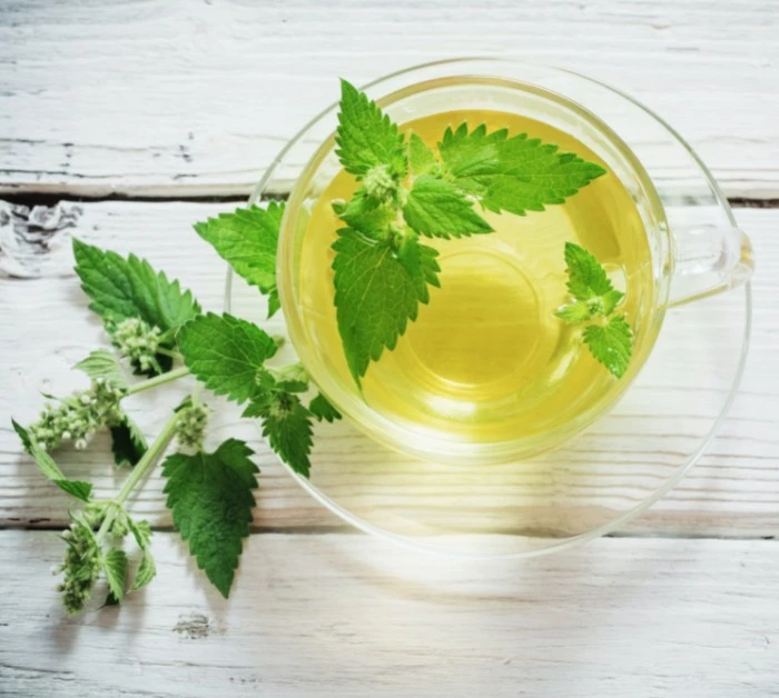 Lemon balm tea benefits and side effects